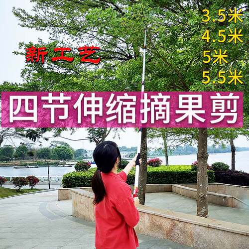 摘果剪高枝剪摘枇杷香椿荔枝伸缩加长杆修果树枝高空采摘水果神器