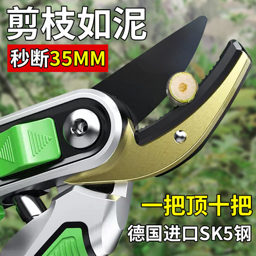 德国进口艺园花剪刀果树修剪树枝专用园艺剪刀修枝剪园林剪枝工具