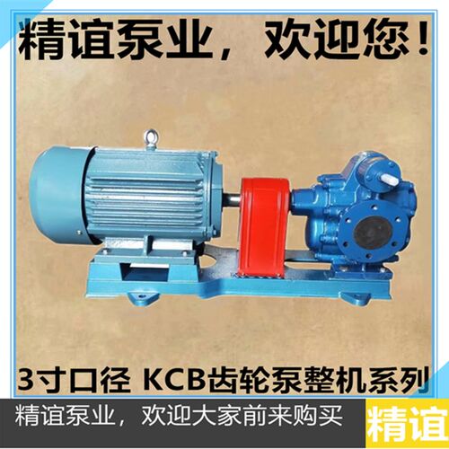 高温电动铸铁齿轮油泵KCB300抽油泵齿轮泵柴油泵重油泵输油泵整机