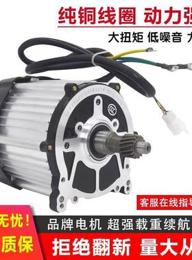 电动板车0全套配平件大全48V机6V前转向总成电后桥控IHM制器驱动