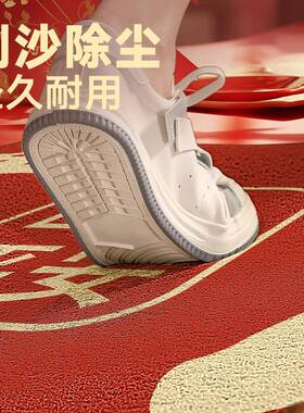 地垫入户205新2款门门圈口LAA耐脏门垫进玄关红色地毯丝入门脚垫