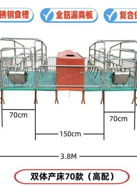新款产母猪RRW产床仔全套一整套产保一两用双体产床单体床猪保体