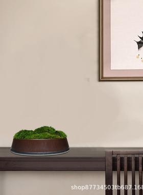 永生藓厅VPJ盆景盆栽仿真植苔物微景观中桌式面花艺客玄关前台摆