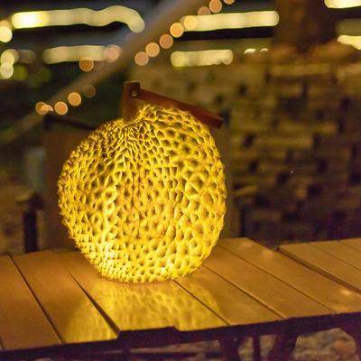 太手提仿真月球灯莲灯南瓜灯物白榴鹅灯猫头鹰动灯阳能户外手提小