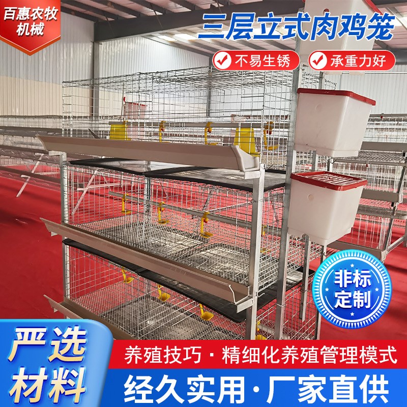 框架肉鸡笼子养j殖场用繁育笼具三层小鸡笼热镀锌三层立式肉鸡笼