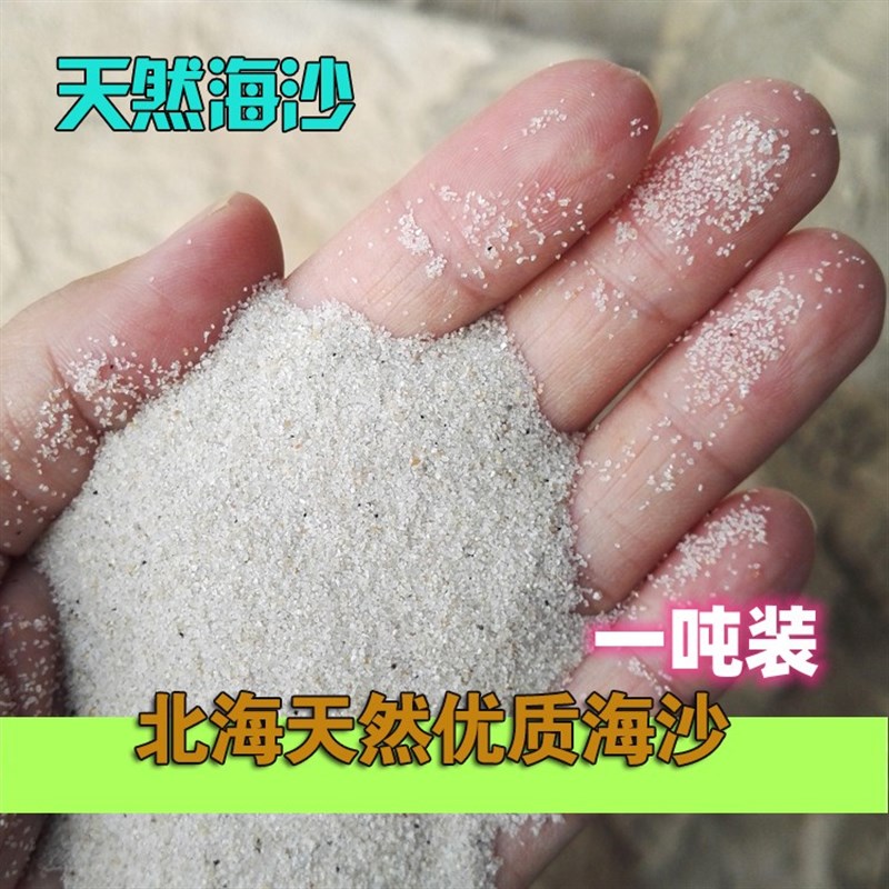 儿童乐园玩具沙 天然海沙北海海沙游乐场沙池 宝宝沙幼儿园沙子