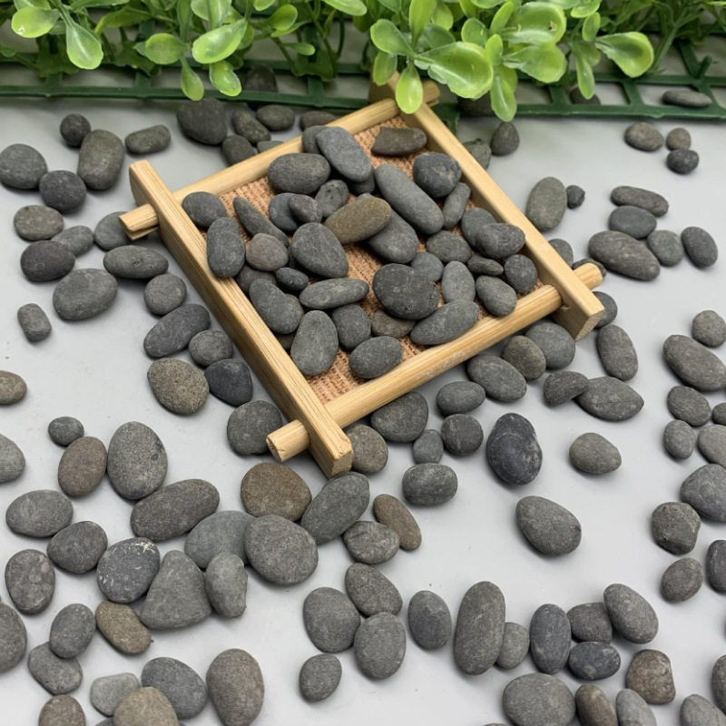 铁胆沙 溪流砂小石子 乌龟缸造景装饰黑工砂  多肉铺面造景