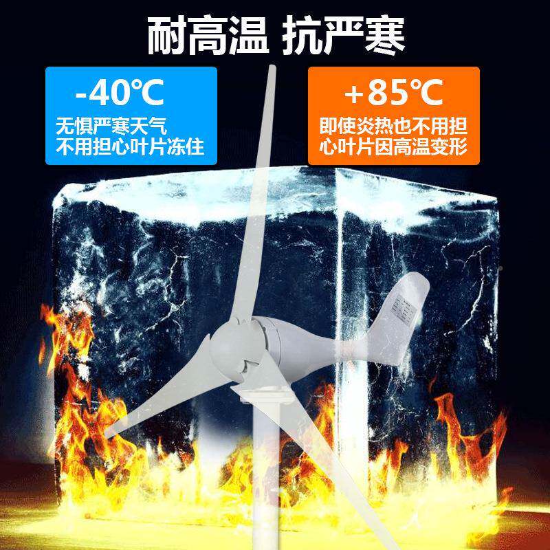 力发率机家电用300W3叶220V小型风能大功12v24v永磁带风光发电丁