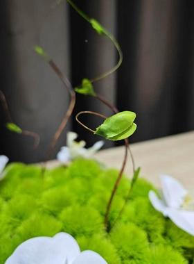 花盘酒店餐圆桌转盘35802真花桌花摆花端轻奢现仿代中高间摆件装