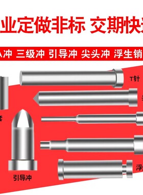模具顶顶杆司筒扁顶针镶针冲针冲头浇口套非标件模具配件非标定制