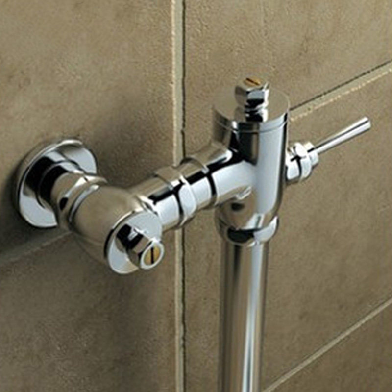 手板延时自闭式大便冲洗阀/蹲便器冲水阀/手压按冲便器/蹲坑厕所