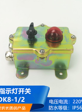 泰航船用带指示灯开关DK8-1 DK8-2 DK8-3 DK8-4火警开关按钮IP56