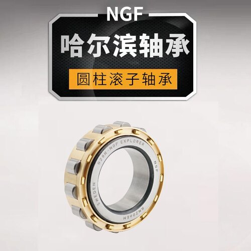 哈尔滨 进口 圆柱滚子轴承 RN 220 221 222 224 226 228 EM ngf