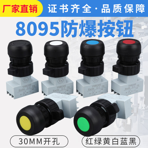 BA8095自复位防爆防腐控制按钮开关 钻孔30 配电箱增安型壳体使用