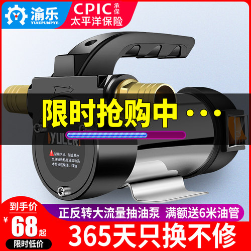 渝乐新款正反转电动抽油泵直流加油泵加油机柴油吸油机12VW24V220