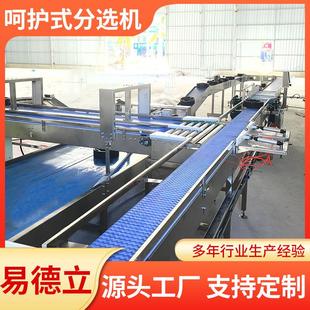 水果无损选果机零损伤可测糖苹果榴莲草莓分选机分级机厂家