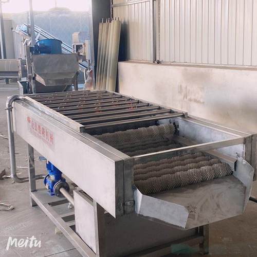 毛辊清洗机平行苹果清洗水循环适用于蔬菜水果喷淋清洗