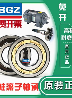 RSGZ圆柱滚子轴承NJ NU 202 203 204 205 206 207 208 209EM