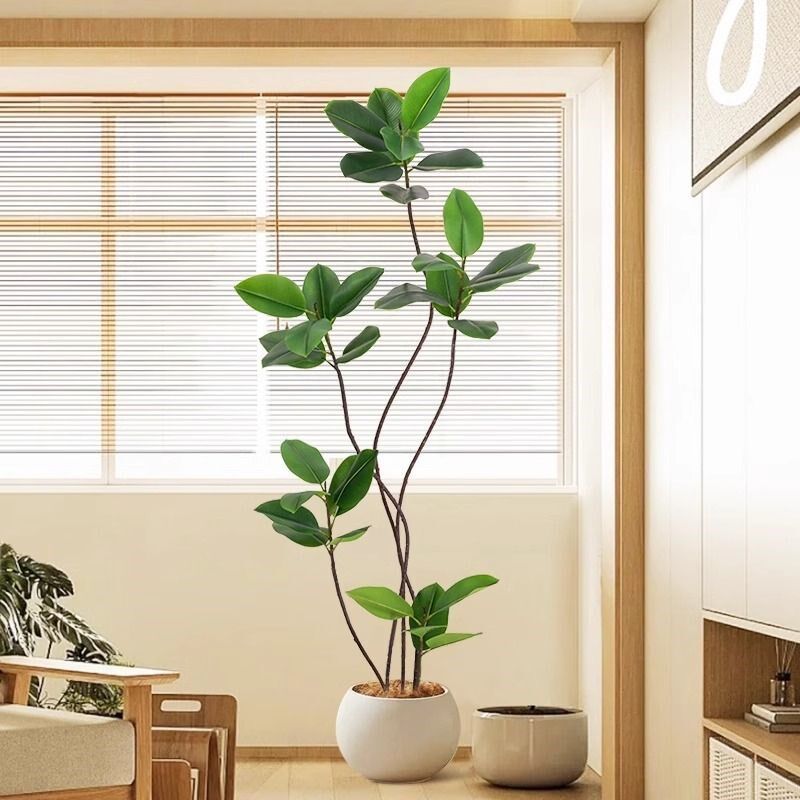 真绿植橡皮树大型侘寂风客厅电视柜旁边落地摆件生植物假盆栽