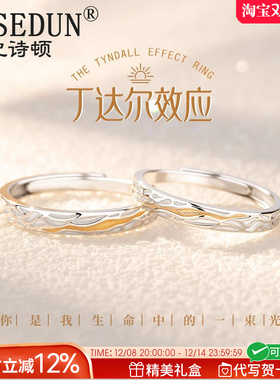 法国GVSEDUN丁达尔纯银情