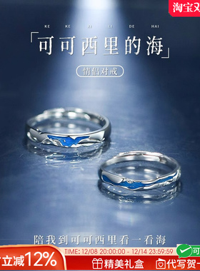 法国GVSEDUN可西里的海情