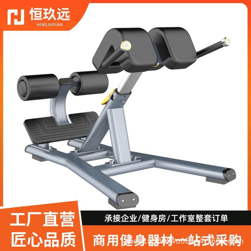 划船机商用健身房可调节哑铃凳卧推凳健身椅健身凳深蹲架罗马椅,运动/瑜伽/健身/球迷用品,更多中小型健身器材,淘宝优惠券,粉丝福利购,淘宝优惠卷