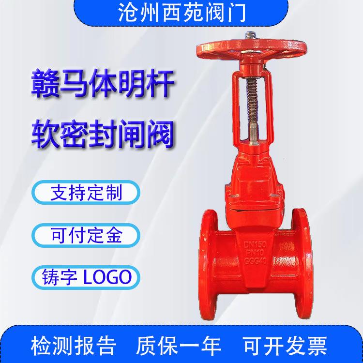 热卖赣马体明杆软密封弹性座封法兰闸阀Z41X球墨铸铁DN150