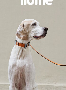 fluffle 巴洛克复古拼色柔软意大利小牛皮项圈牵引 petisan