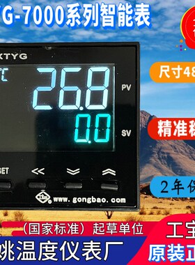 余姚温度仪表厂XTYG-7000 701W 751W 753W 703W 791W 700W 754W