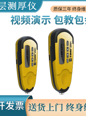 北京时代TT290 覆层测厚仪涂层测厚仪 原装涂镀层测厚仪 测厚仪