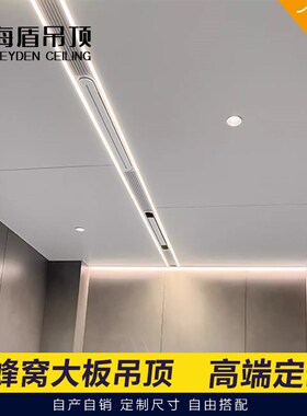 铝蜂窝大板吊顶厨房卫生间集成吊顶铝G扣板大板客厅餐厅天花板阳