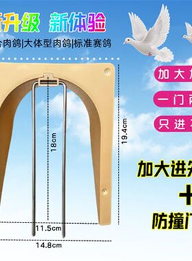 鸽子用品鸽具信鸽赛鸽鸽具跳笼口碰门活络门无障碍欧式进笼口进门