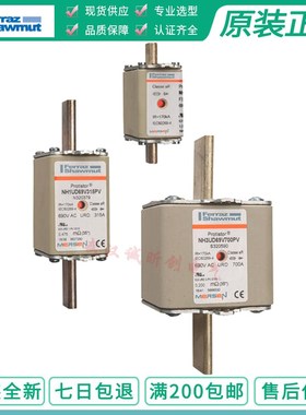 ferraz保险NH00UD69V63-80A-100A-125A-160A-200A-250A-315A 690V