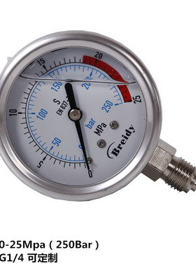 Breldy耐震压力表水气油液压表不锈钢YN60 1.6/2.5/25/40/60MPA