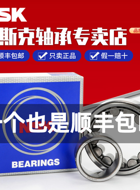 进口NSK NU1005 1006 1007 1008 1009 1010 EW EM C3圆柱滚子轴承