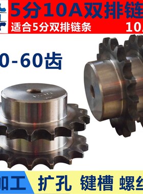 5分10A-2双排链轮传动齿轮10 13 17 19 20 25 55 60 齿链条轮链轮