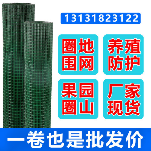 硬塑铁丝网网格围栏网养殖网子小孔栅栏防护网户外养鸡鸭围网拦网
