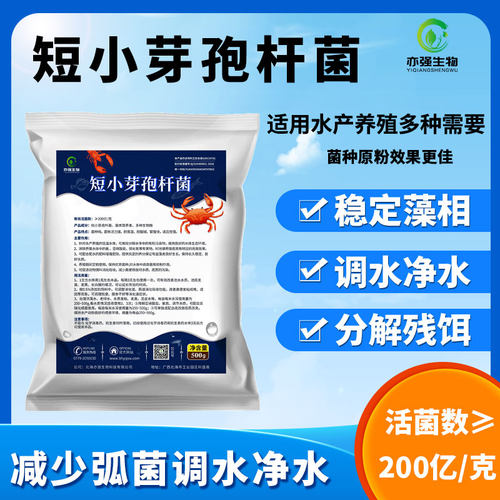 200亿短小芽孢杆菌水产养殖低温专用菌种冬天水X环境污水处理