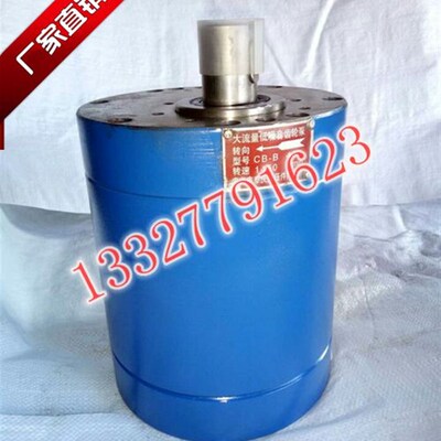 大流量齿轮油泵 DCB-B250 TXCB-B250 CB-BM250 CB2液压泵低压B100