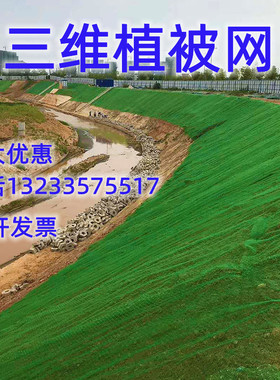 三维植被网 护坡固土网土工网 三维植草网绿色植被网园林绿化网垫