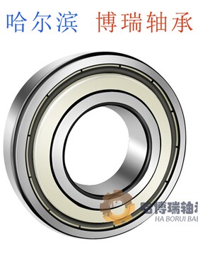 不锈钢轴承 S16001RS S16002RS S16003RS S16004RS S16005RS