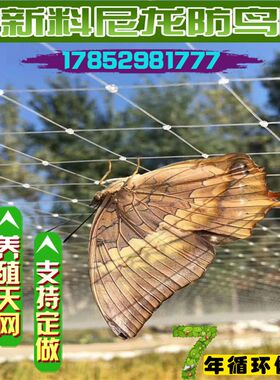 果树防鸟网樱桃葡萄果园鱼池防鸟用网按斤泥鳅鱼塘防护尼龙网园艺