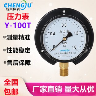上海成具仪表Y-100T径向带边压力表0-1.6MPA船用面板式气压水压表