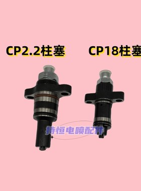 CP2.2柱塞总成CP18柱塞总成cp2.2柱塞cp18柱塞校油泵配件电喷配件
