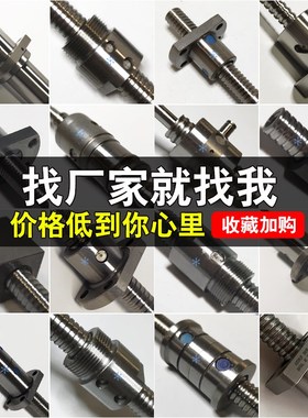 2010滚珠丝杠2005丝杆C-BSST1205BSSR1505BSSZ1510BSSC1516 3232