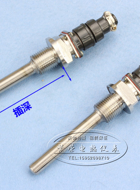 WZP-269铂热电阻PT100插深100mm-300mm铂热电阻/温度传感器 厂价