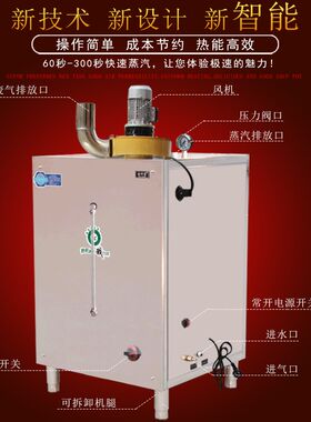 蒸汽发生器d环保燃气蒸汽机设备馒头豆腐煮浆机商用节能酿酒锅炉