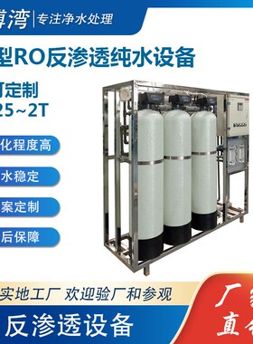 0.25~2吨级小p型RO反渗透纯水设备工业去离子水处理装置