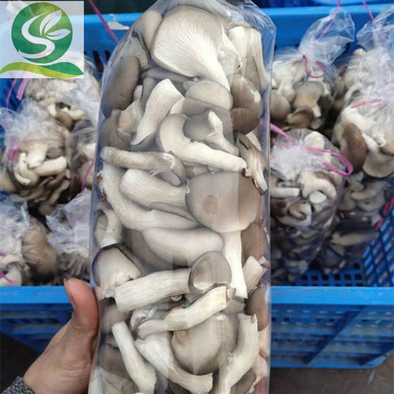 秀珍菇鸡枞菌姬菇金针菇r防雾保鲜袋杏鲍菇香菇防水滴包装薄膜袋