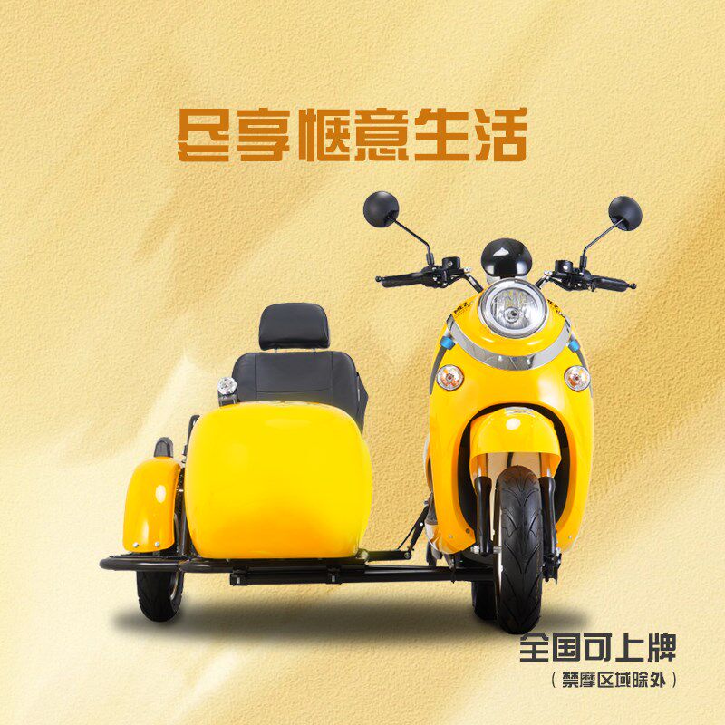 边三轮电动车小龟王八嘎车踏板电A动三轮车侉子偏三轮72V成人电